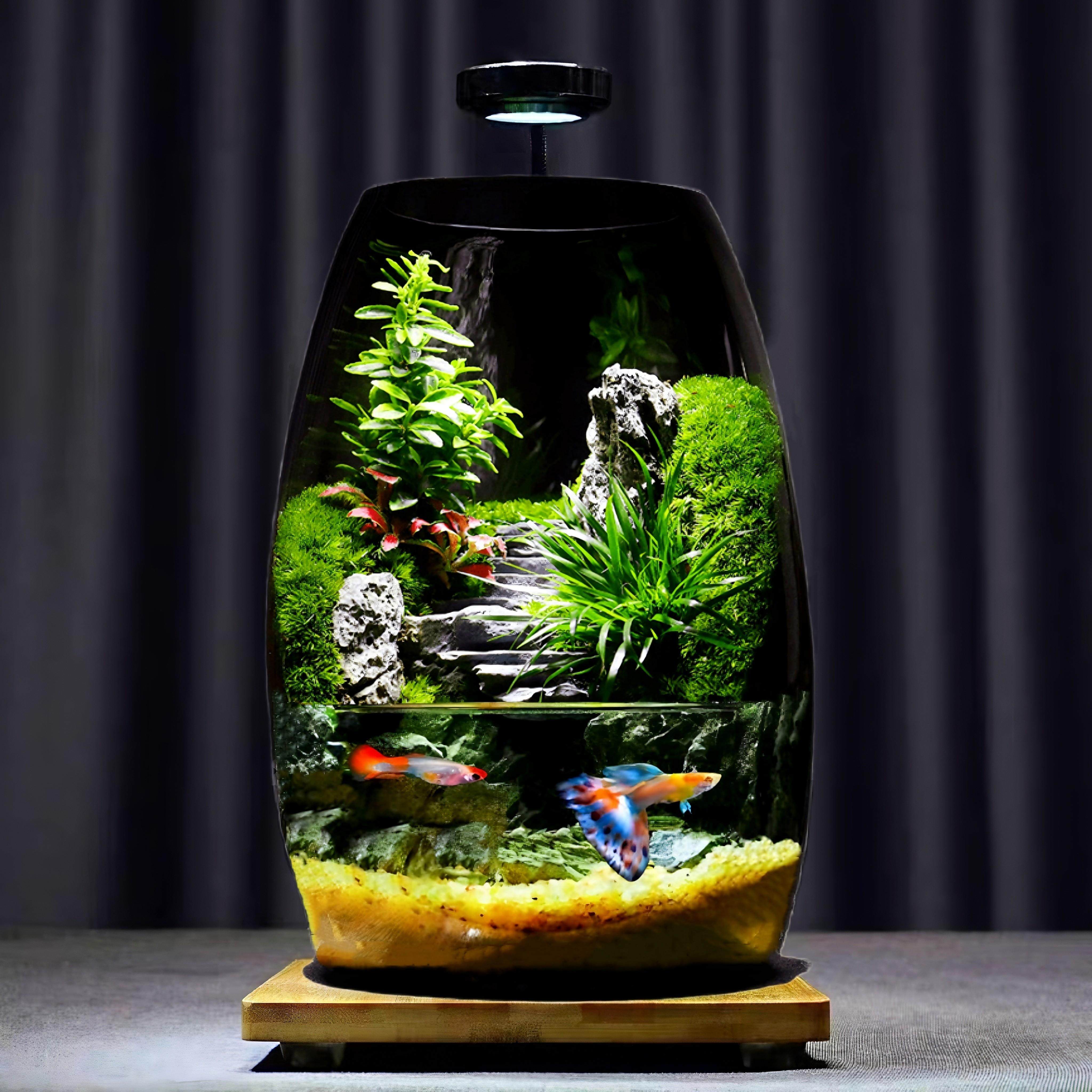 苔藓微景观生态瓶造景植物桌面可养鱼小摆件森林青苔雨林生态鱼缸