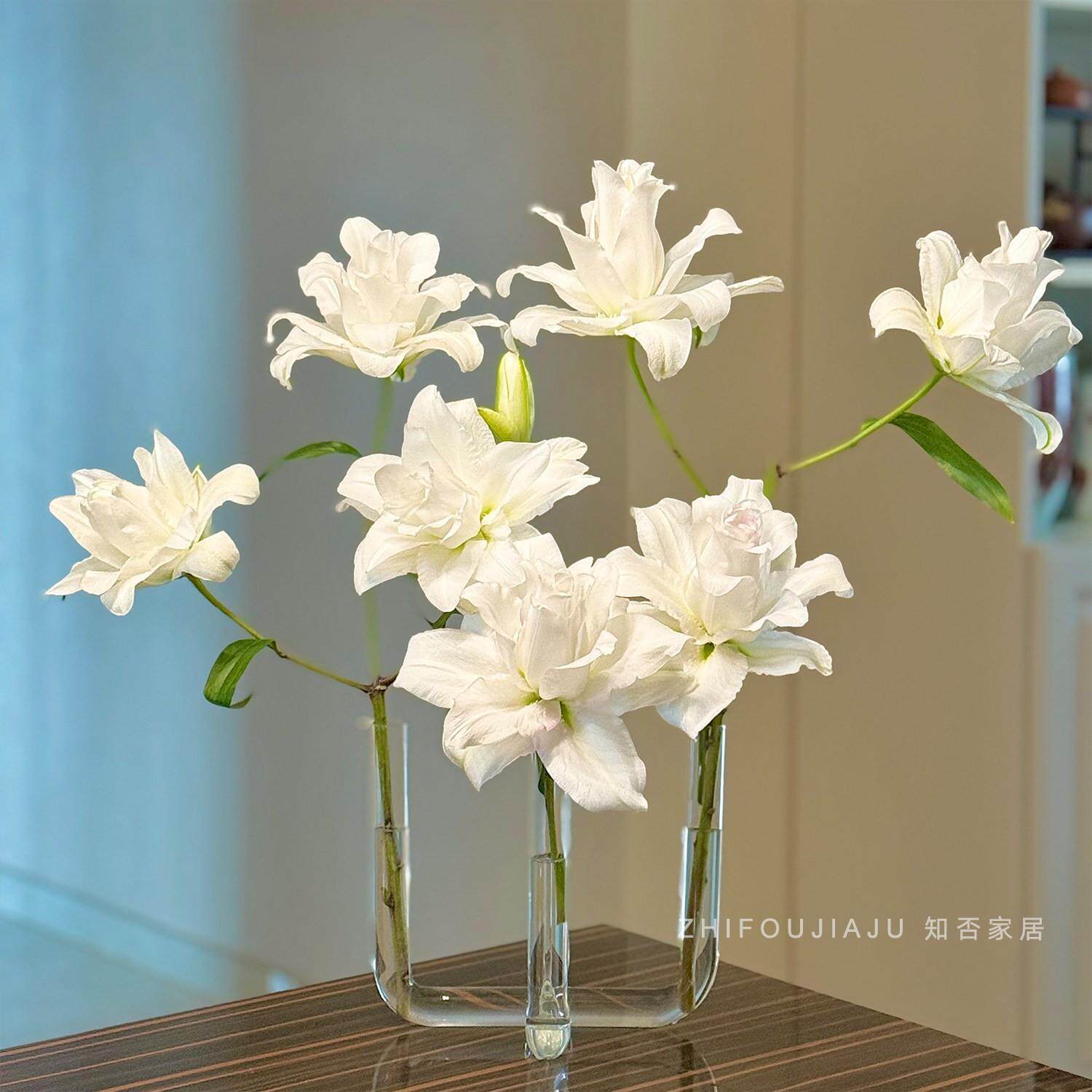网红玻璃试管花瓶4孔插花水培花器客厅西餐桌摆件高级感ins风