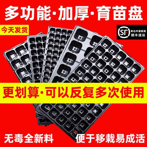 育苗盘托盘穴盘加厚西瓜玉米辣椒西红柿蔬菜幼苗培育盆扦插塑料杯