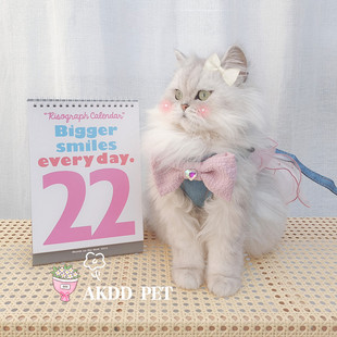 仙女风猫咪狗狗中小型o犬背x心式牵引绳遛狗遛猫绳宠胸背带宠物用