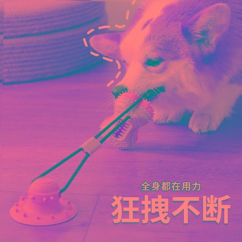 狗狗玩具球耐咬磨牙橡胶球玩具家用解闷神器宠物狗玩具逗狗狗神器,宠物/宠物食品及用品,橡胶球/球形玩具,淘宝优惠券,粉丝福利购,淘宝优惠卷