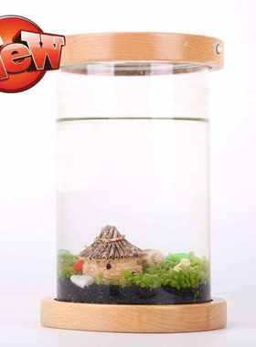 小型客厅桌面迷a你生态真水草玻G璃鱼缸水族箱草缸装饰造景