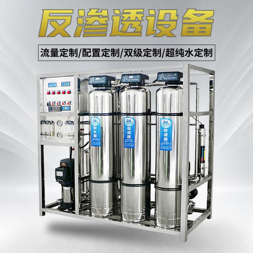 加工定制反渗透水处理设备自动化RO双级反DEI高纯度双级反渗透