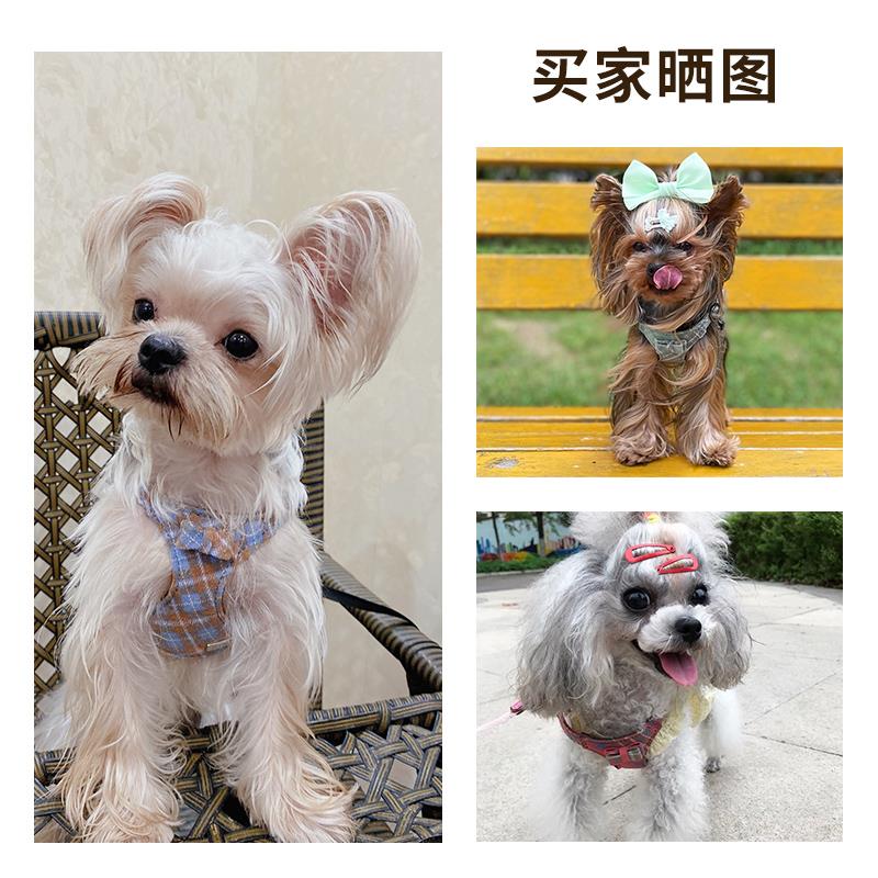 狗狗遛狗牵引绳狗绳胸背带背心式幼犬茶杯小型犬小体泰迪专用可爱
