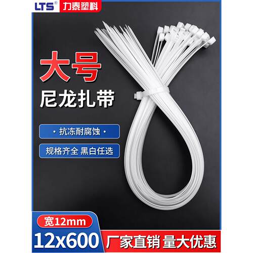 易扣带子12*600mm宽12mm自锁塑料密封线扣尼龙电缆扎带