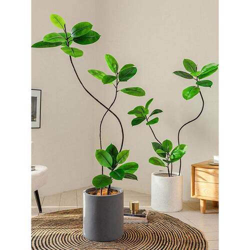 掬涵新款橡皮树彷真绿植高端轻奢客厅彷生植物家居大型落地摆件