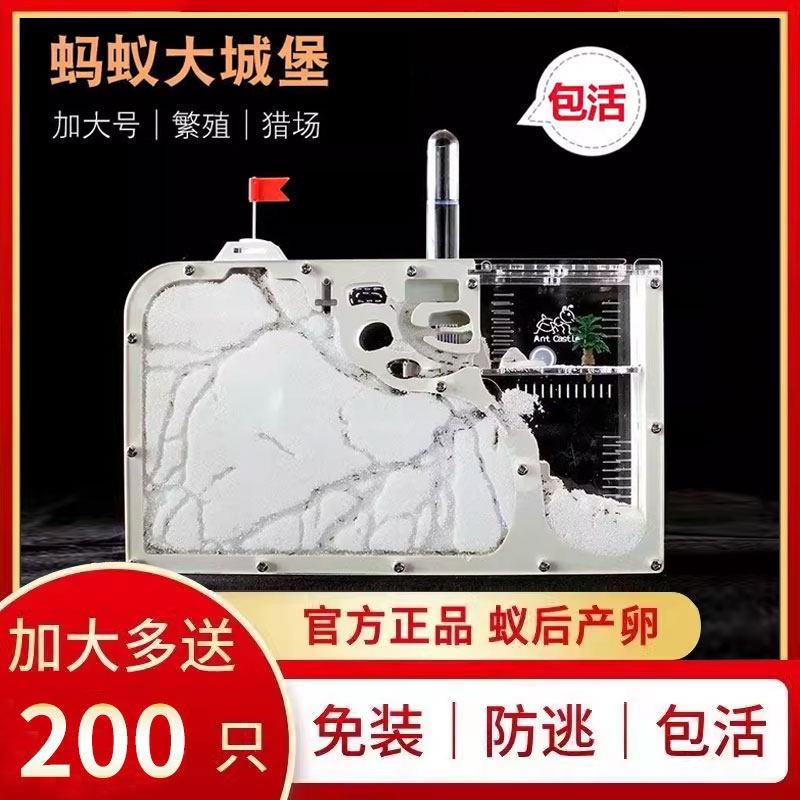 蚂蚁城堡系列套餐正品工坊小蚁巢生态屋箱盒送蚁后繁殖蚂蚁部王国