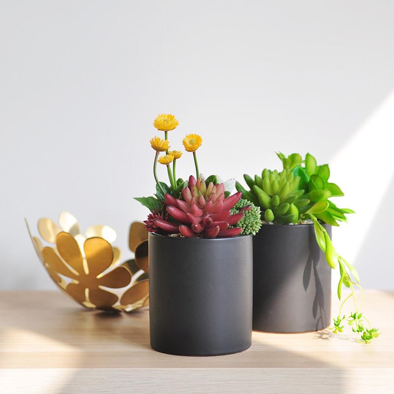仿真多肉植物盆景 室内绿植桌面陶瓷花盆装饰品摆件盆栽 art438