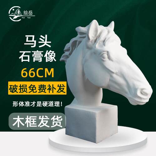 绘岳66cm马头美术石膏动物头像素描石膏像写生静物美术室配套器材