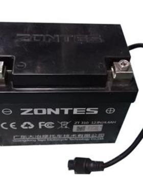 升仕ZT250 ZT310X/T/R/V启动锂电池胶体蓄电池12v伏电瓶通用原装