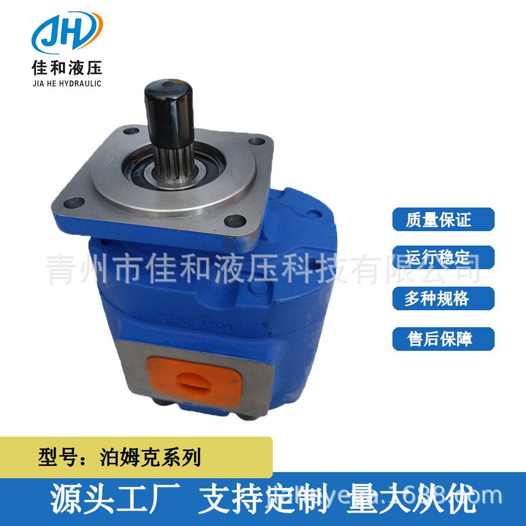 柳工泊姆克齿轮泵1165041021 多种规格 运行稳定