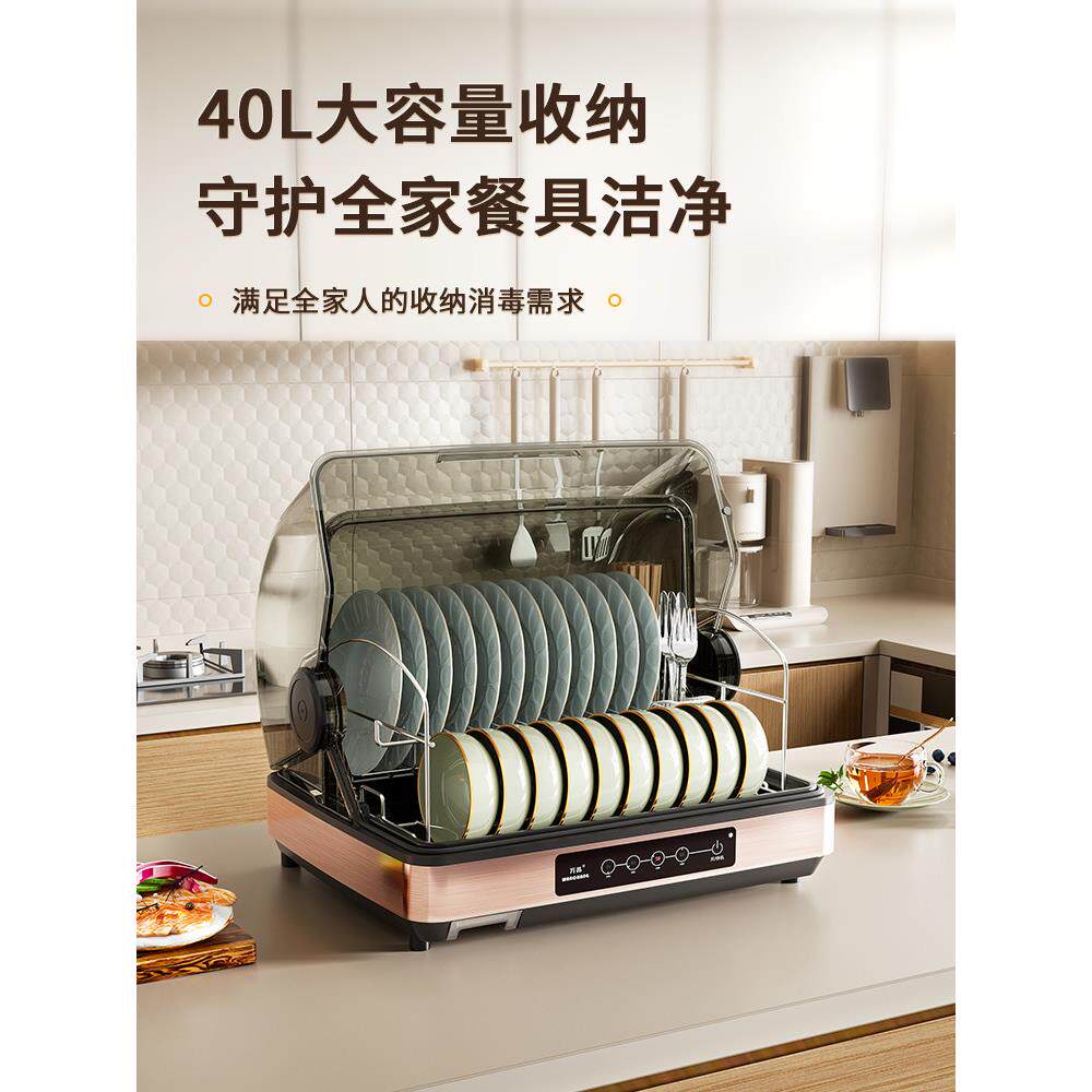 消毒碗架沥水架家用厨房置物架碗筷餐具收纳盒带盖放碗柜滤水碟架