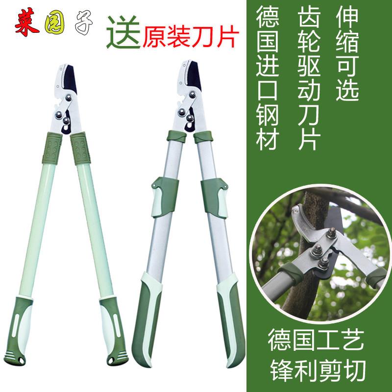 进口粗枝剪高枝修枝剪树枝果树绿化花园艺剪刀伸缩大力剪园林工具
