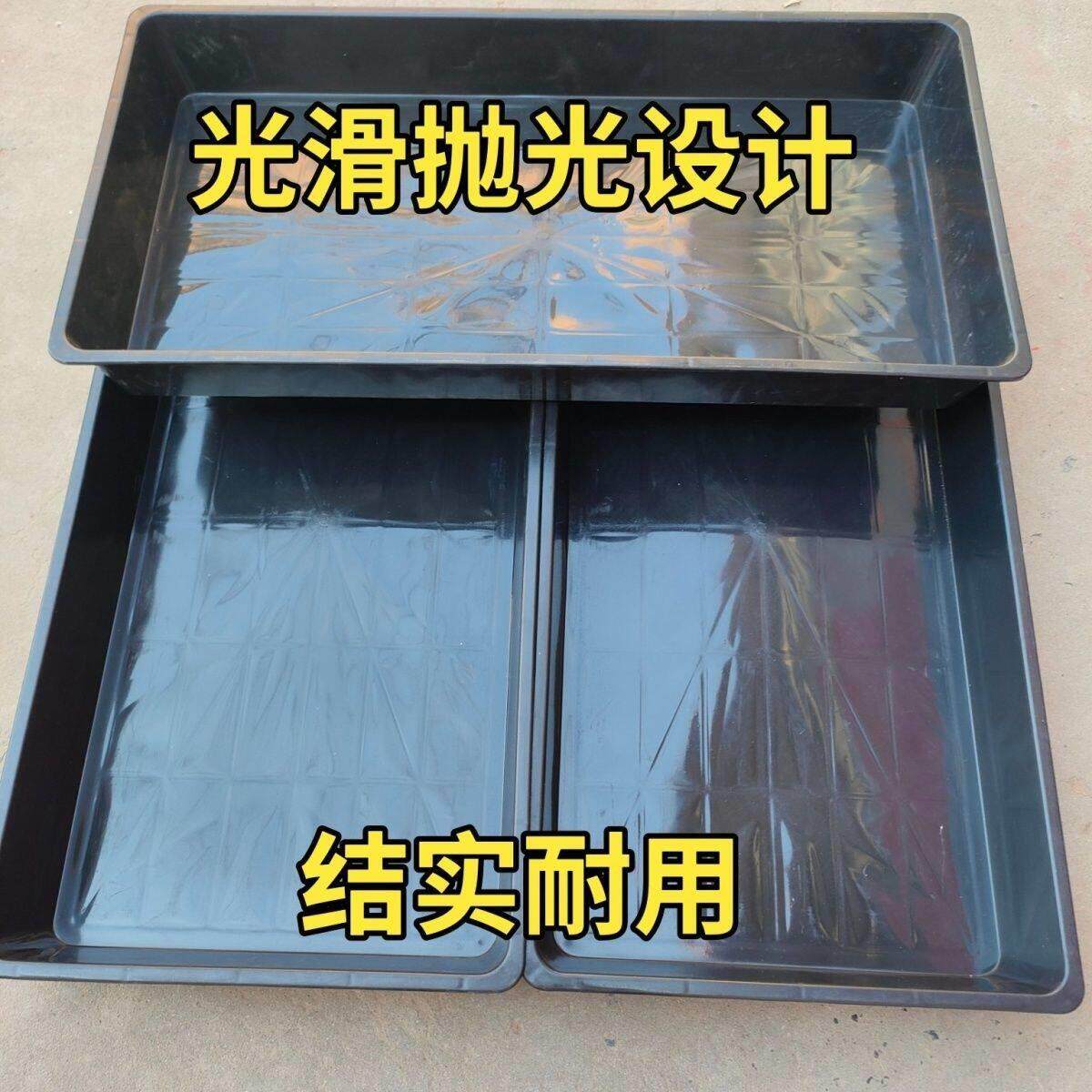 黄粉虫专用养殖盒大麦虫面包虫养殖工具塑料饲养盒厂家直销