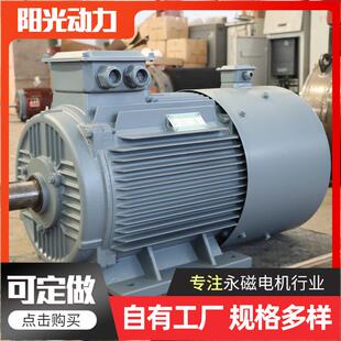 220V发电机 永磁高效发电机纯铜稀土变频直流无刷高效家用便携式