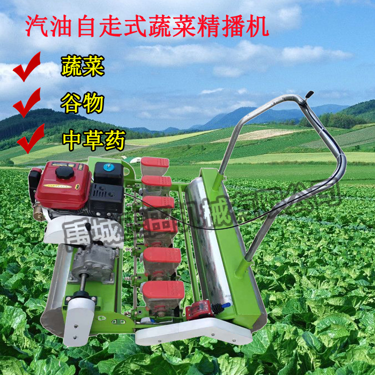 家用香菜籽播种机 手推汽油式蔬菜种子播种机 蔬菜4-6行播种机