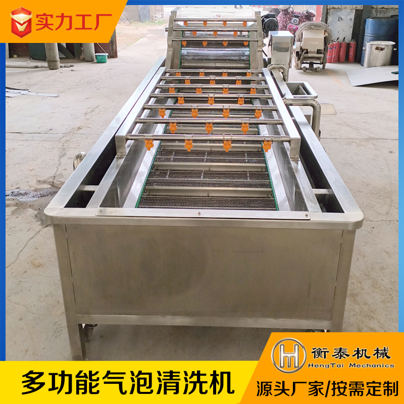 水果蔬菜清洗设备 果蔬气泡清洗机 全自动大型商用连续叶类洗菜机