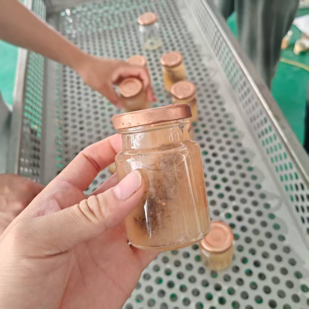 桦树汁杀菌设备鲜炖玻璃瓶海参喷淋杀菌釜即食燕窝粥喷淋杀菌锅