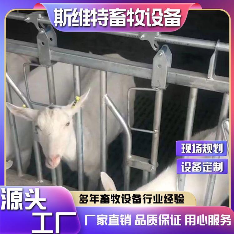 羊颈枷养牛设备热镀锌加厚打针防疫防抢食牛颈枷货源充足