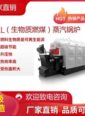 厂家直销印尼DZL6-1.25-SCIID2吨4吨6吨链条炉生物质蒸汽锅炉
