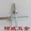 不锈钢抽芯铆钉 铁芯半钢 扁圆头拉铆钉 正宗304