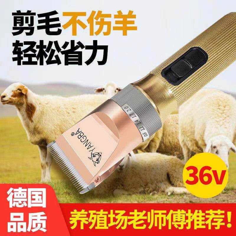 36V羊霸两档调速羊毛剪宠物电推剪剃羊毛推子狗兔毛机500瓦大功率