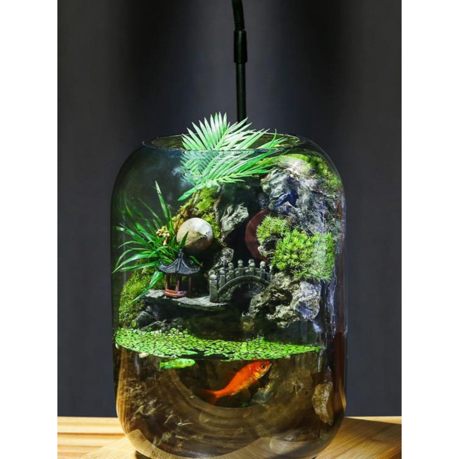 【时来运转】流水款养鱼缸苔藓微景观生态瓶真植物成品室内送礼
