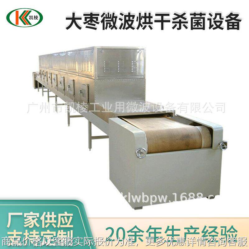 -2-30大枣微波烘干杀菌设备 微波隧道式杀菌干燥机 厂家供应