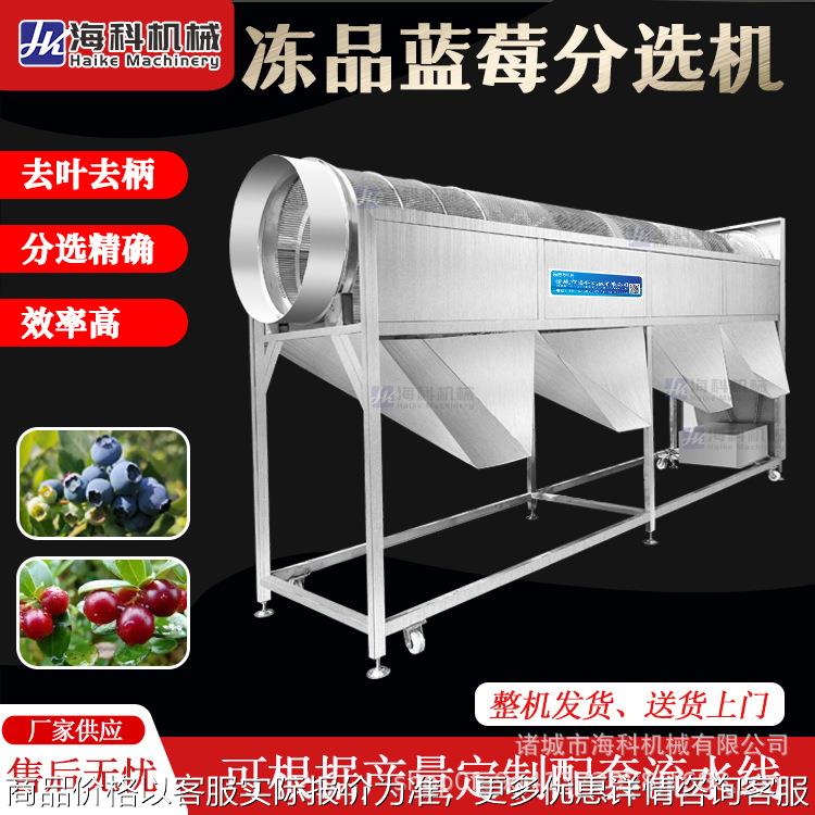 水果分级机果蔬分选机 鲜品冻品蓝莓大枣筛选机分拣机 龙眼选果机