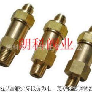 阀业-22300黄铜冷冻机/制冷低温安全阀40