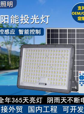 跨境led投光灯户外100-400W大功率工程多硅晶板路灯