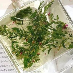 干花液体香薰无火室内卧室香氛永生花进口挥发原料清新 伽罗生活