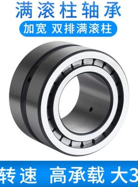 重载满滚柱圆柱滚子轴承NNCF/SL185004 5005 5006 5007 5008 5009