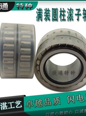 F-208099 F-210390 F-204783圆柱滚子轴承无外圈行星减速机齿轮箱