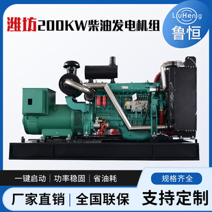 潍坊200KW柴油发电机组纯铜无刷交流发电机定制备用电源发电机组