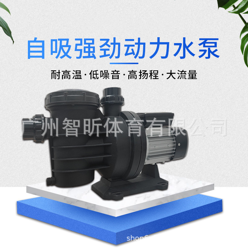 泳池设备 泳池过滤水泵自吸循环过滤泵 耐腐蚀循环泵 吸污过滤泵