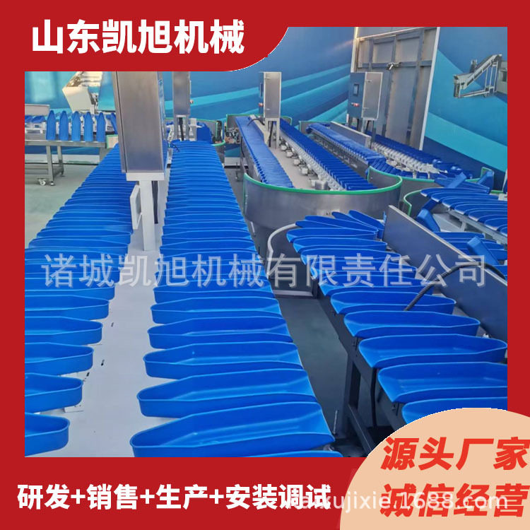 橄榄全自动重量分选机罗汉果称重分选设备贝贝瓜大小筛选机器