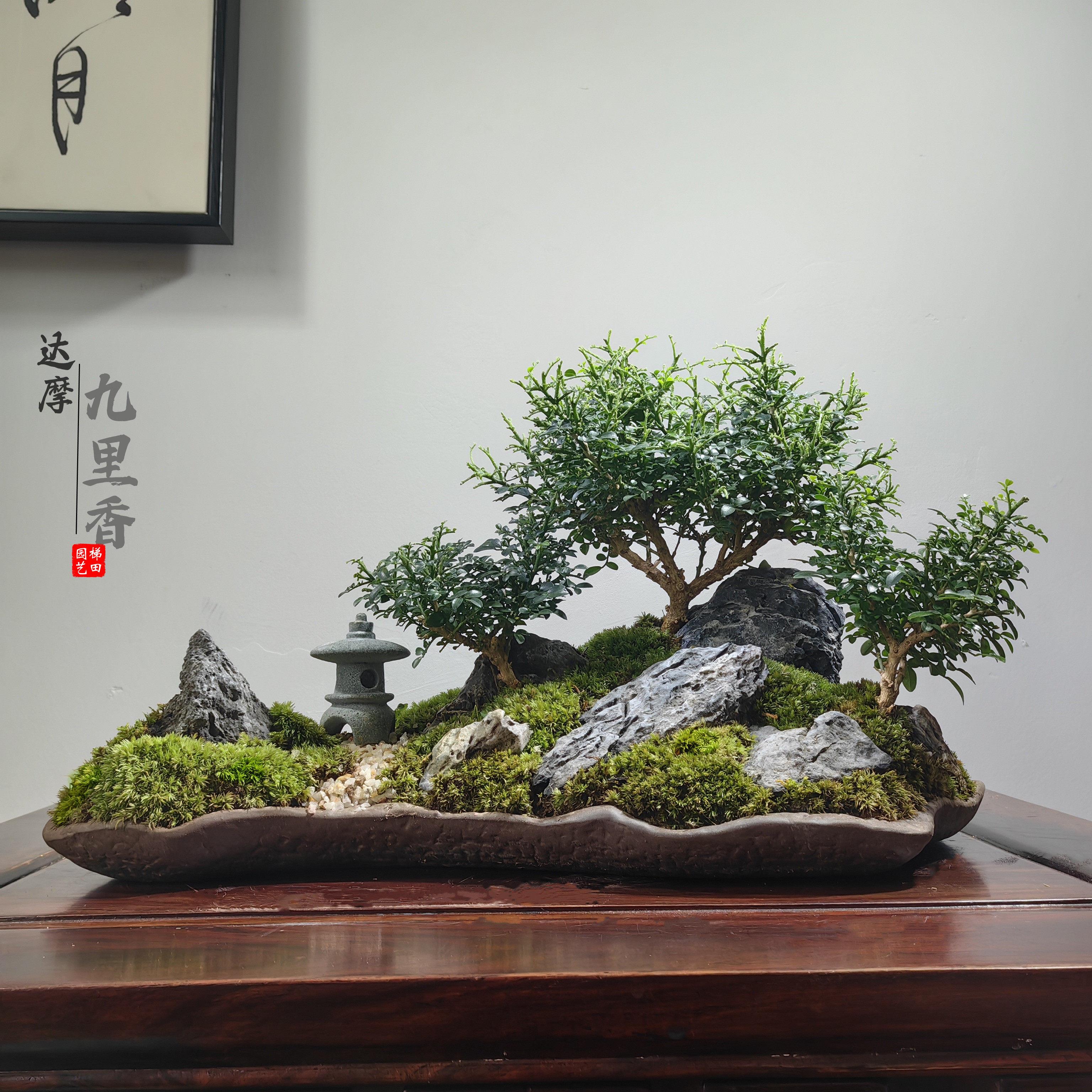 新中式达摩九里香室内生态盆景桌面会客厅门店造景微景观菖蒲盆栽