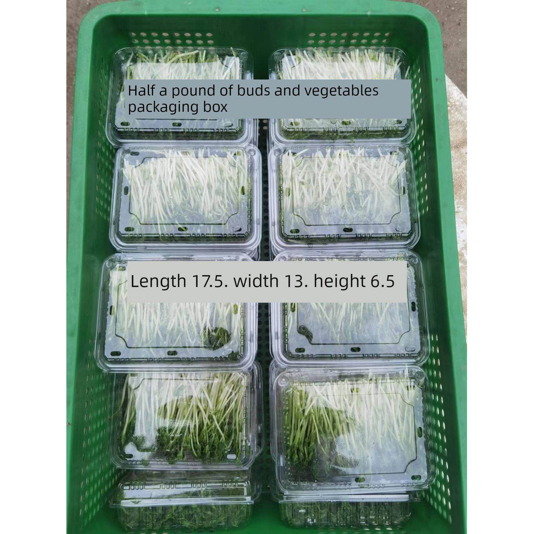 豆芽豆苗水培芽苗菜豌豆苗一次性塑料种植盒带盖育苗盘打包盒