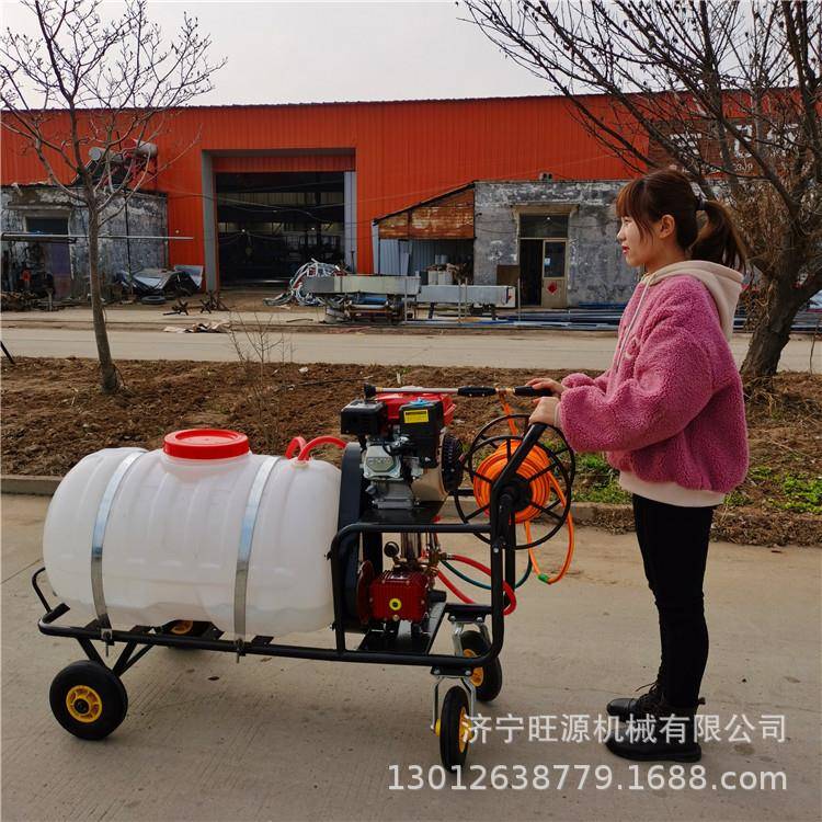 大容量手推打药机汽油手推式打药机自走式拉管高压喷雾器