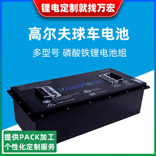 48V100Ah電池lifepo4電動車高爾夫球車磷酸鐵鋰電池組長續航