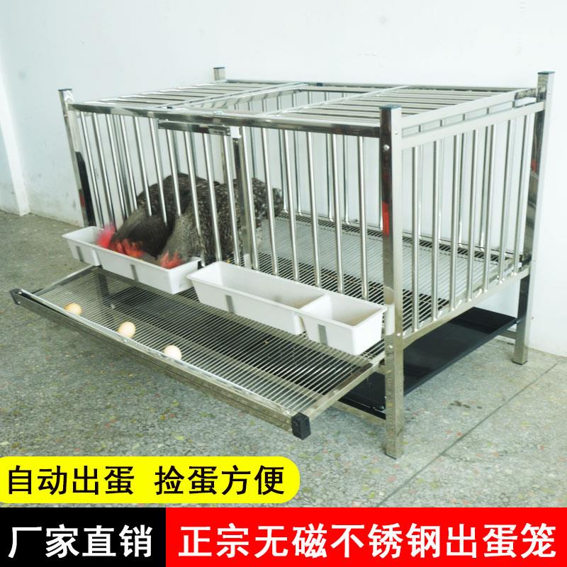 不锈钢鸡笼家用室外滚鸡蛋大号特大蛋鸡养殖笼自动出蛋养殖场多层