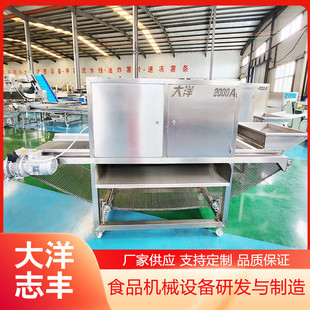香榧脱皮机气动式 链条式 无损伤性香榧去皮机械香榧剥皮设备带数控