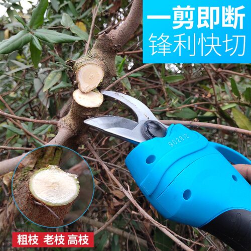 3V电动剪枝修机修枝剪果树园林剪园艺剪刀机充电式6枝剪36V锂电空