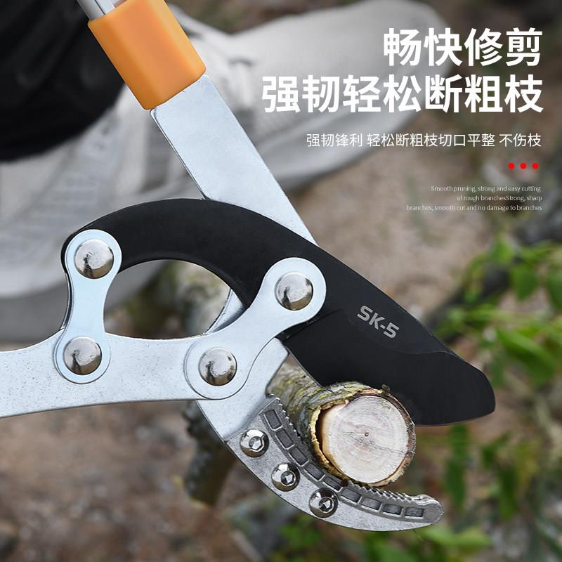 园林剪刀果树修剪树枝强力修枝剪粗枝剪大力剪花剪大省力园艺工具