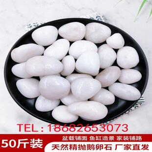 西藏50斤白色鹅卵石子石头天然原石园林庭院铺地鱼缸室内造景