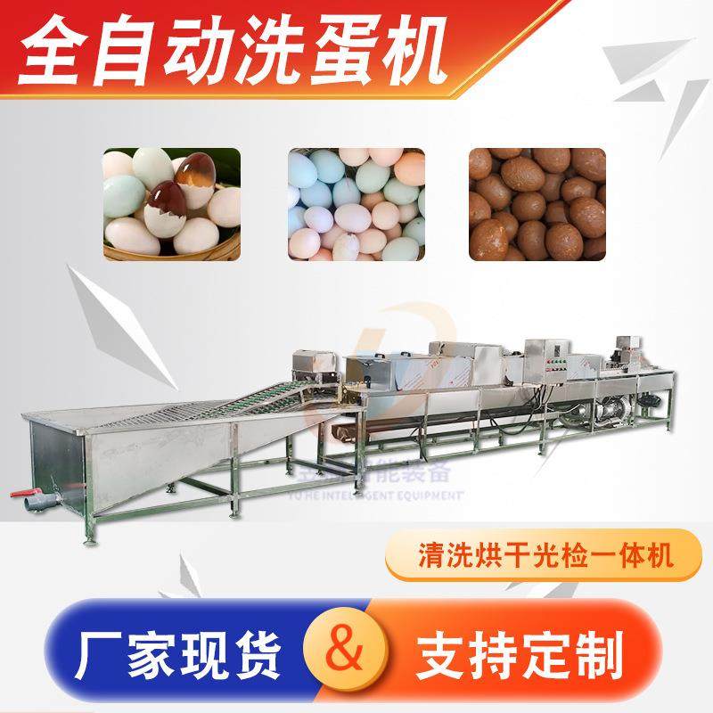 供应无菌蛋松花蛋麻酱蛋全自动清洗烘干光检设备商用大型洗蛋机,清洗/食品/商业设备,其他食品加工设备,淘宝优惠券,粉丝福利购,淘宝优惠卷