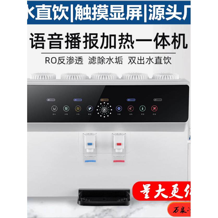 家用净水器100G加热一体直饮机触摸智能语音提示厨房五级RO反渗透