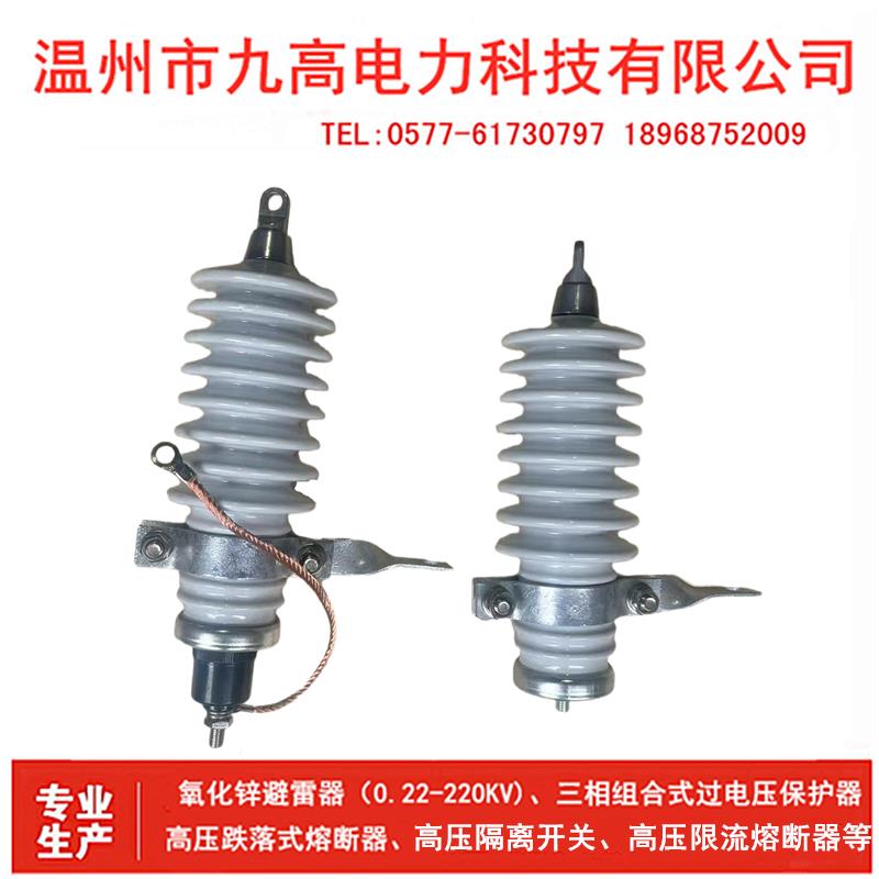 10KV户外高压氧化锌避雷器Y5WS-17/50/45 10KV户内陶瓷高压避雷器