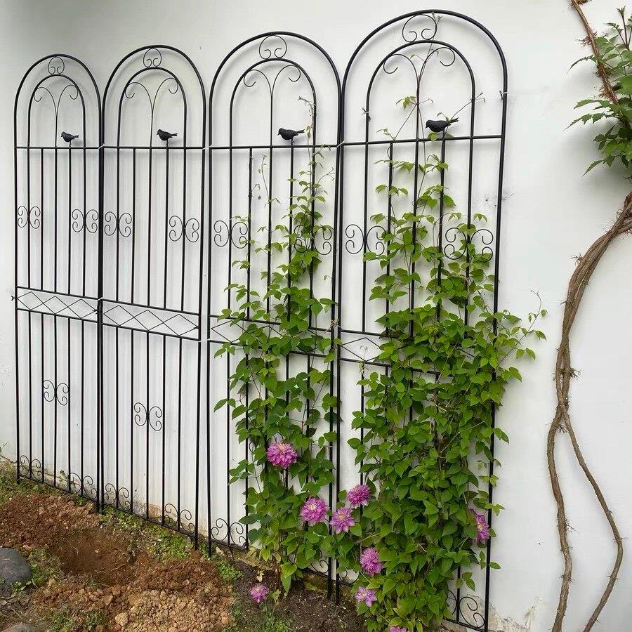 紫藤花架藤本植物飘香藤黄瓜豆角架杆凌霄花爬藤架风车茉莉支撑架图片